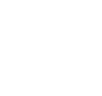 SCHLÜSSELDIENST BAD SCHWARTAU Logo